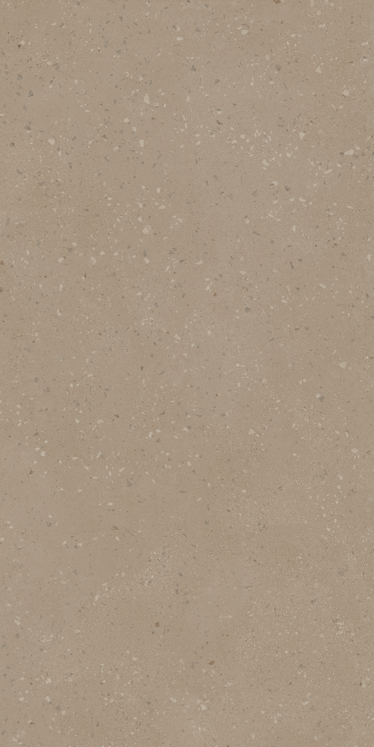 Плитка из керамогранита ro01 80x160x10 непол.рект. (керамический гранит)
