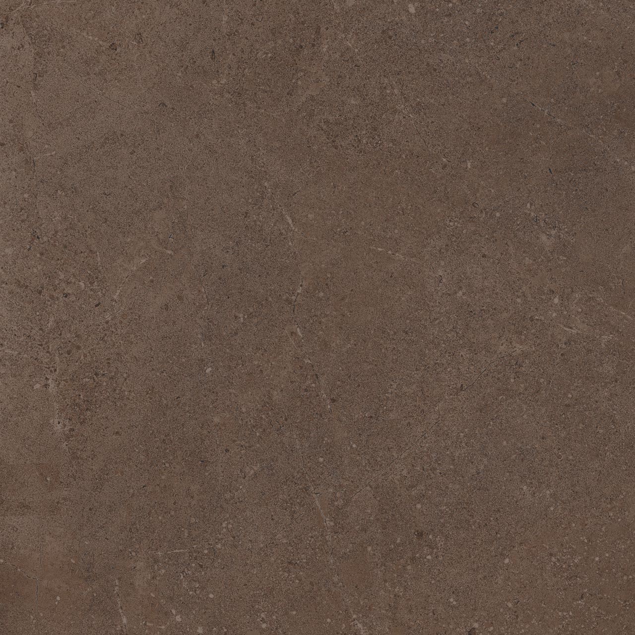 Плитка из керамогранита go03 60x60x9 непол.рект. (керамический гранит)