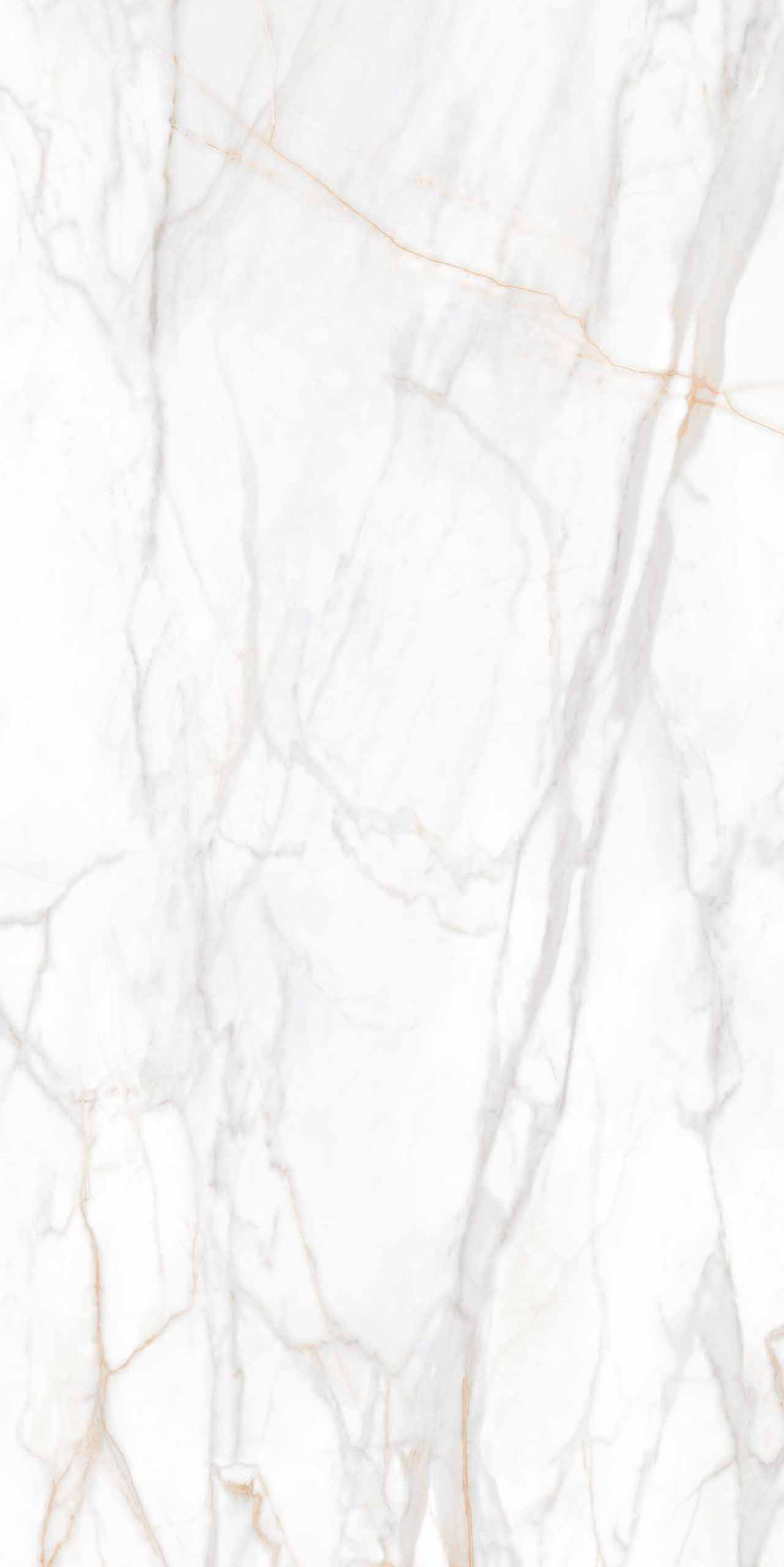 Плитка из керамогранита sm02 80x160x10 непол.рект. (керамический гранит)