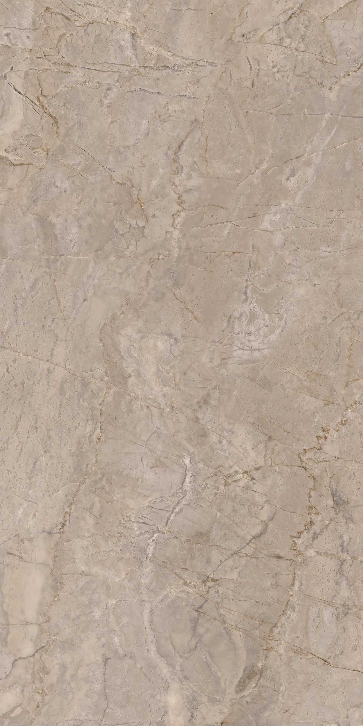 Плитка из керамогранита br02 80x160x10 непол.рект. (керамический гранит)