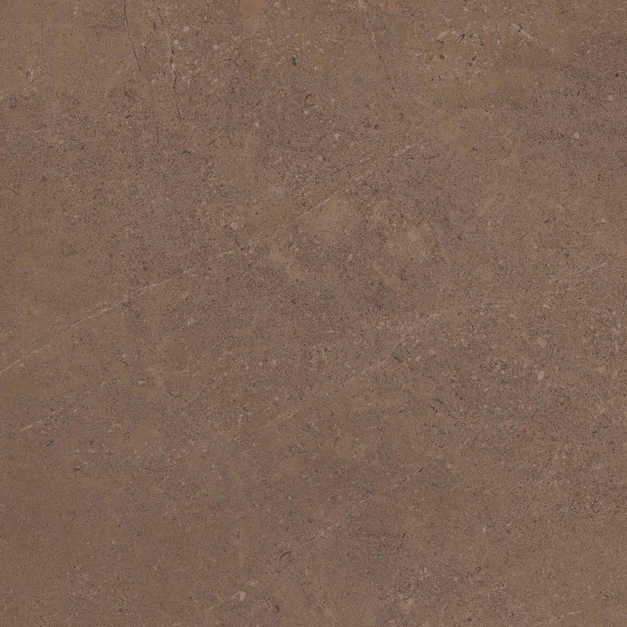 GO02 60x60 Непол.Рект. (Керамический гранит)