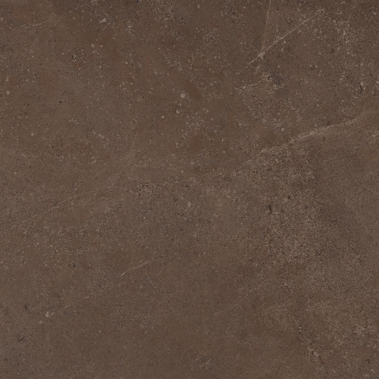 Плитка из керамогранита go03 60x60x9 непол.рект. (керамический гранит)