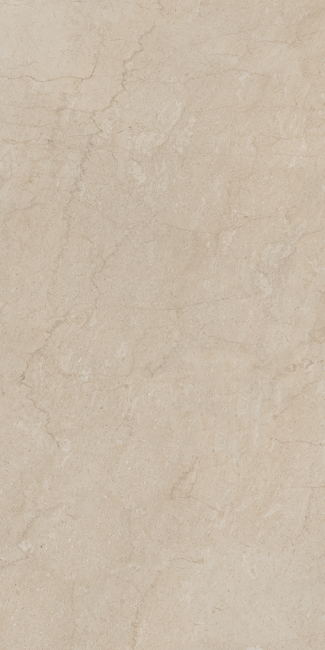 Плитка из керамогранита aem01 80x160x10 непол.рект. (керамический гранит)