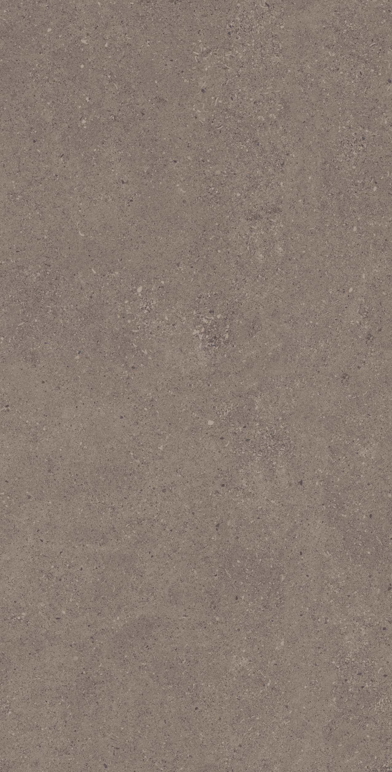Плитка из керамогранита ce04 60x120x9 структур.рект. (керамический гранит)