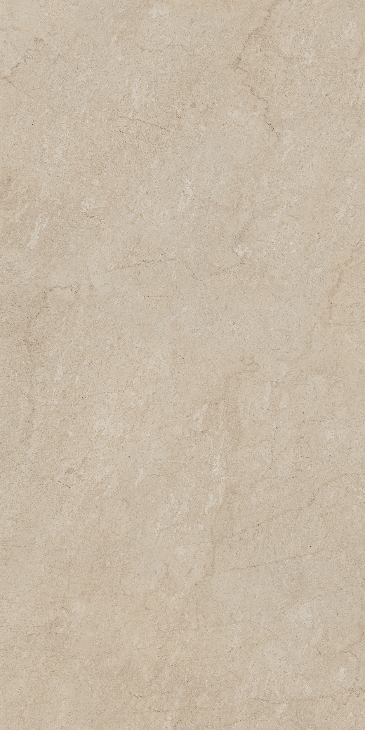Плитка из керамогранита aem01 80x160x10 непол.рект. (керамический гранит)