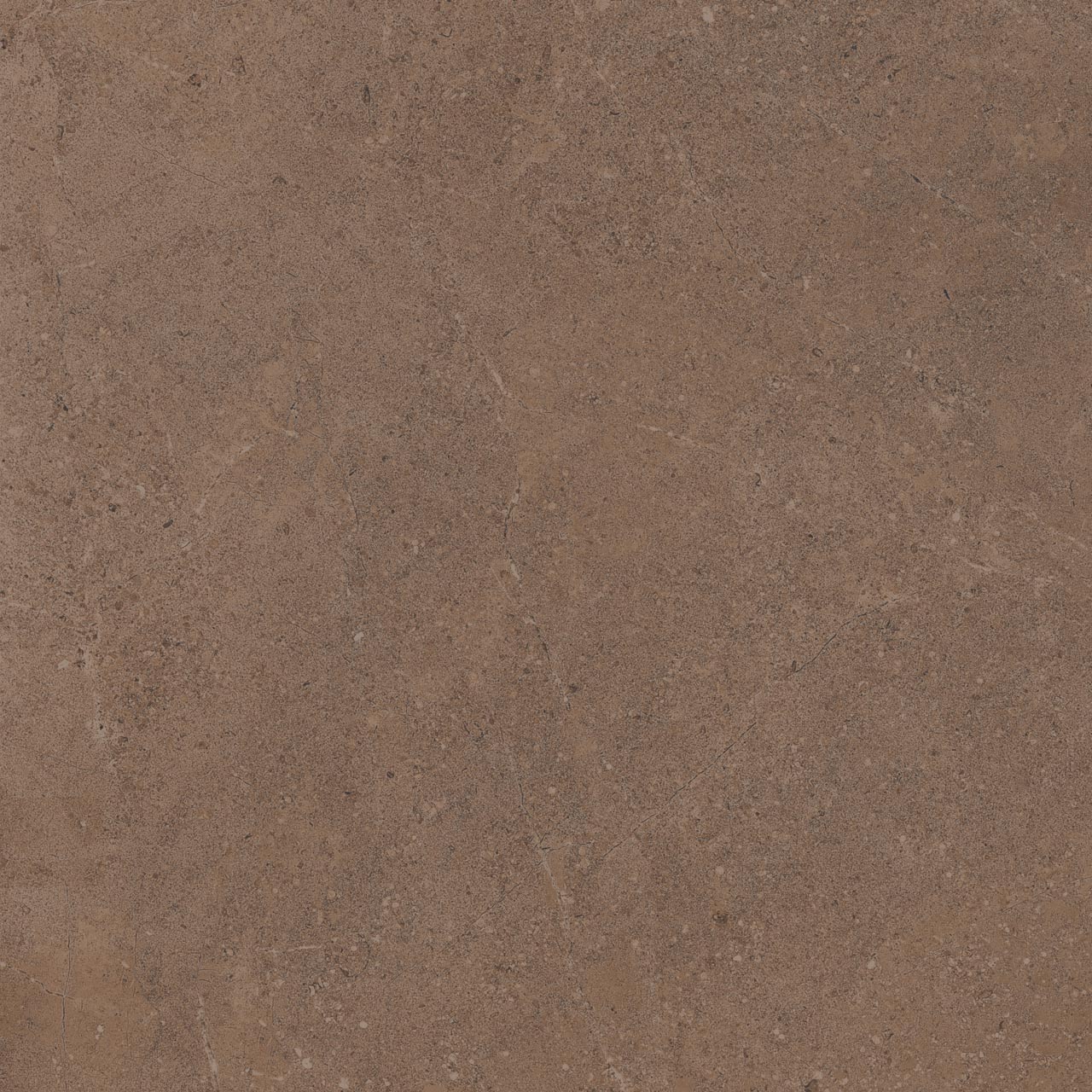 Плитка из керамогранита go02 60x60x9 непол.рект. (керамический гранит)