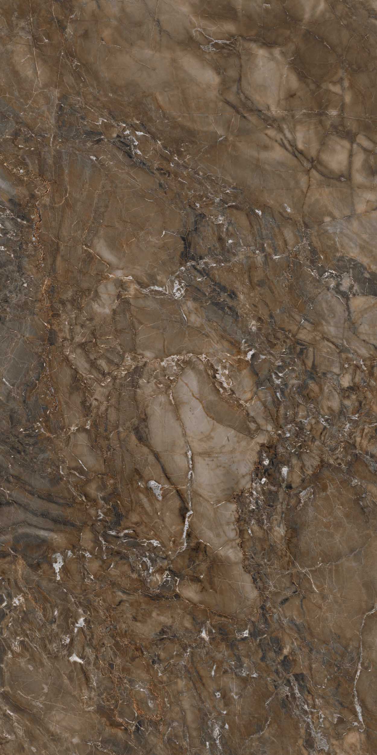 Плитка из керамогранита br04 60x120x9 непол.рект. (керамический гранит)