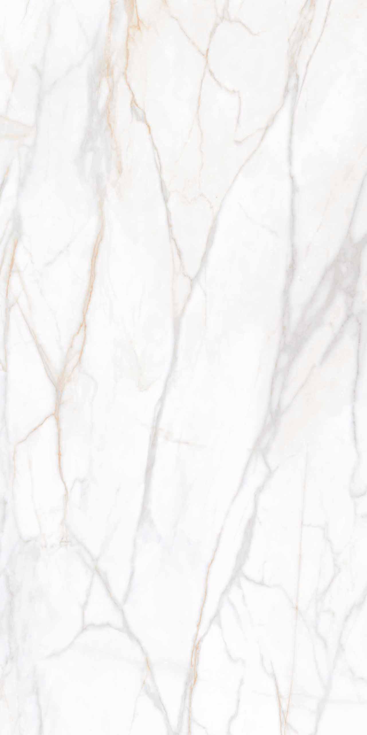 Плитка из керамогранита sm02 80x160x10 непол.рект. (керамический гранит)