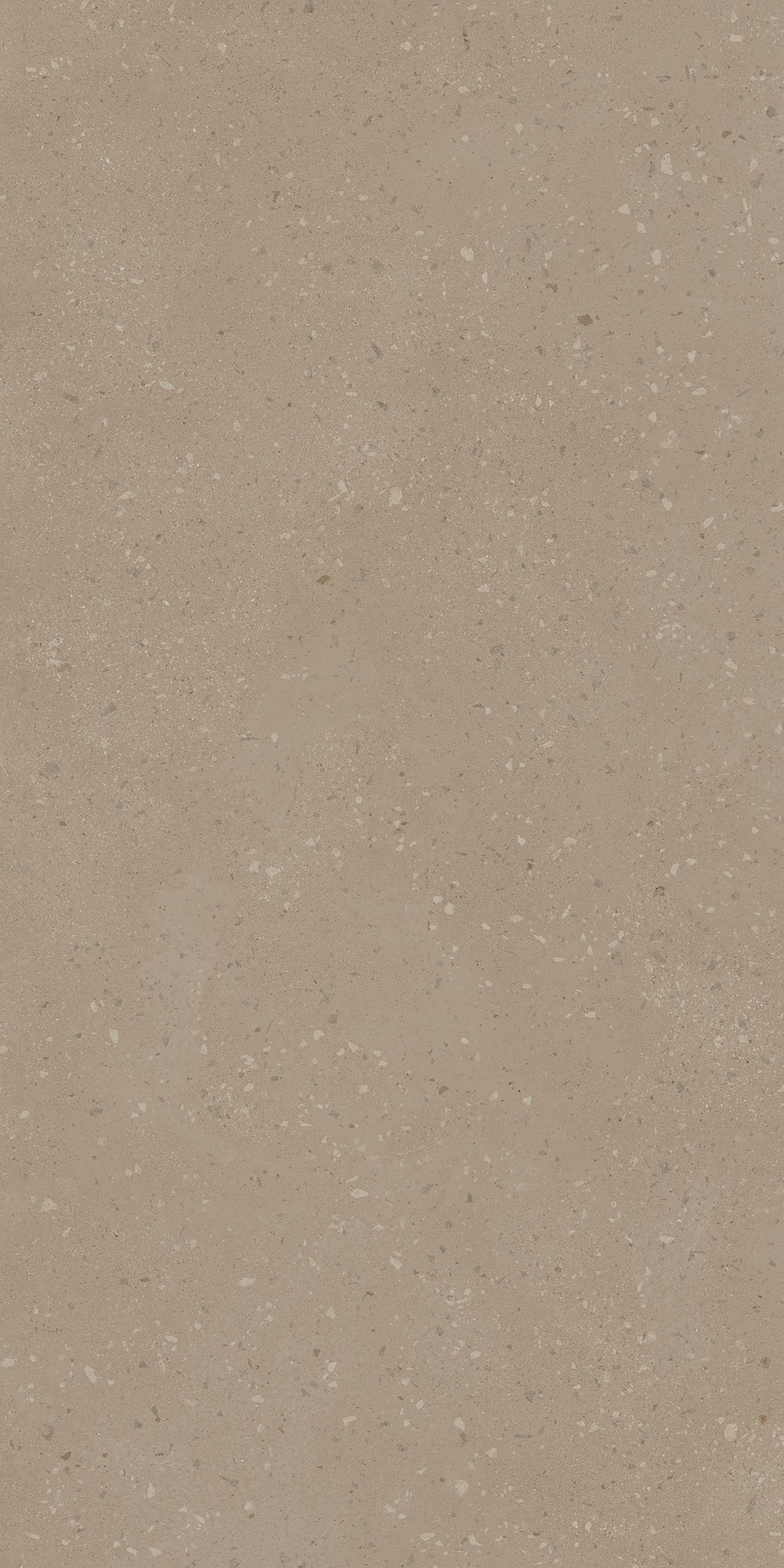 Плитка из керамогранита ro01 80x160x10 непол.рект. (керамический гранит)