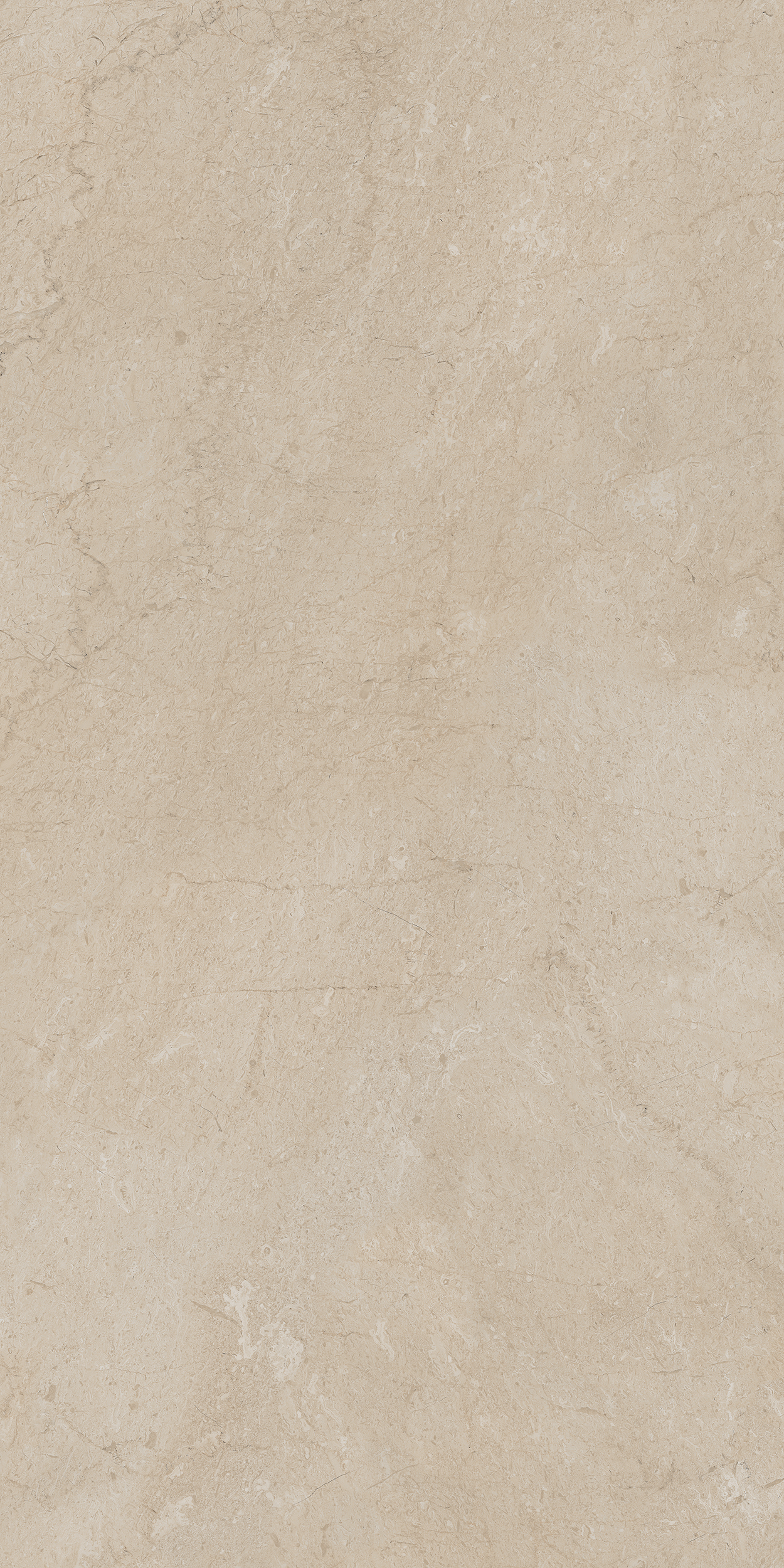 Плитка из керамогранита aem01 80x160x10 непол.рект. (керамический гранит)