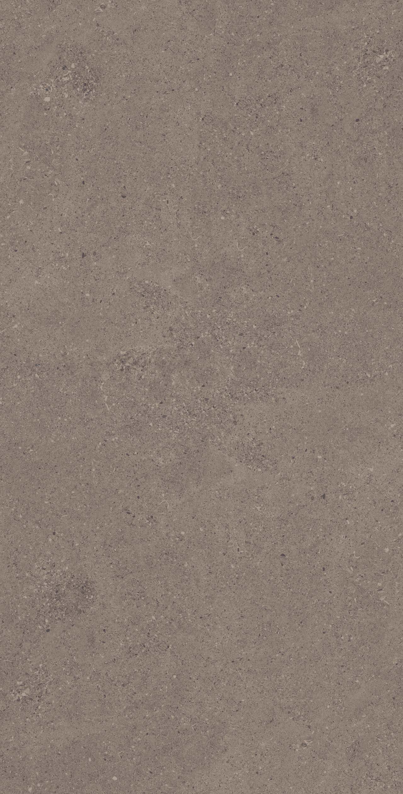 Плитка из керамогранита ce04 60x120x9 структур.рект. (керамический гранит)