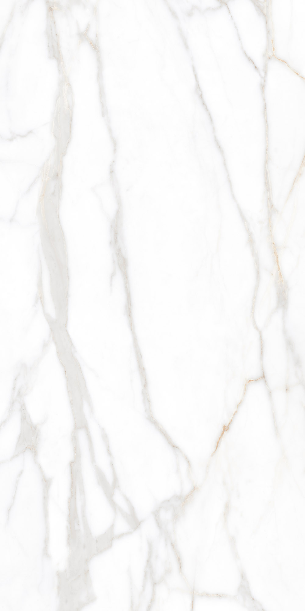 Плитка из керамогранита sm02 60x120x9 полир. (керамический гранит)