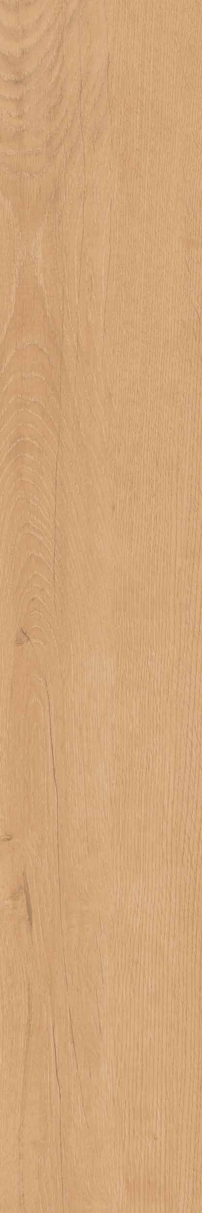 Плитка из керамогранита cw04 19,4х120х9 непол.рект. (керамический гранит)