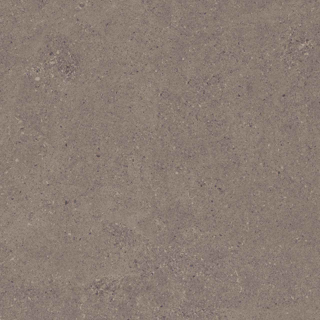 Плитка из керамогранита ce04 60x60x20 структур.рект. (керамический гранит)