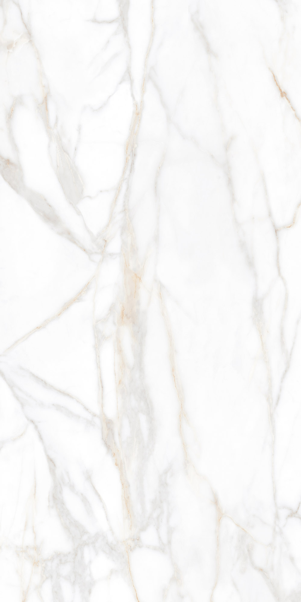 Плитка из керамогранита sm02 60x120x9 полир. (керамический гранит)