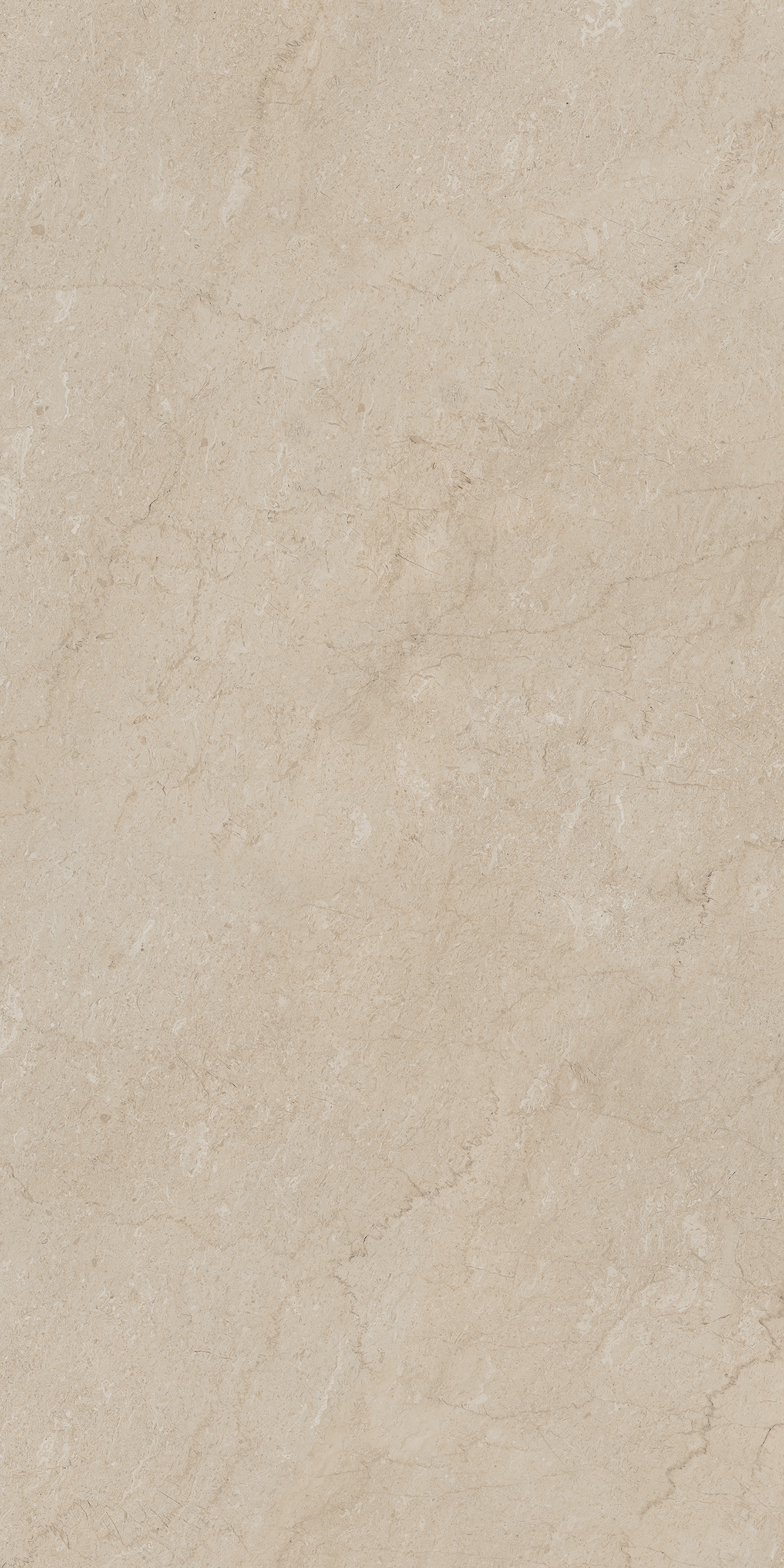 Плитка из керамогранита aem01 80x160x10 непол.рект. (керамический гранит)