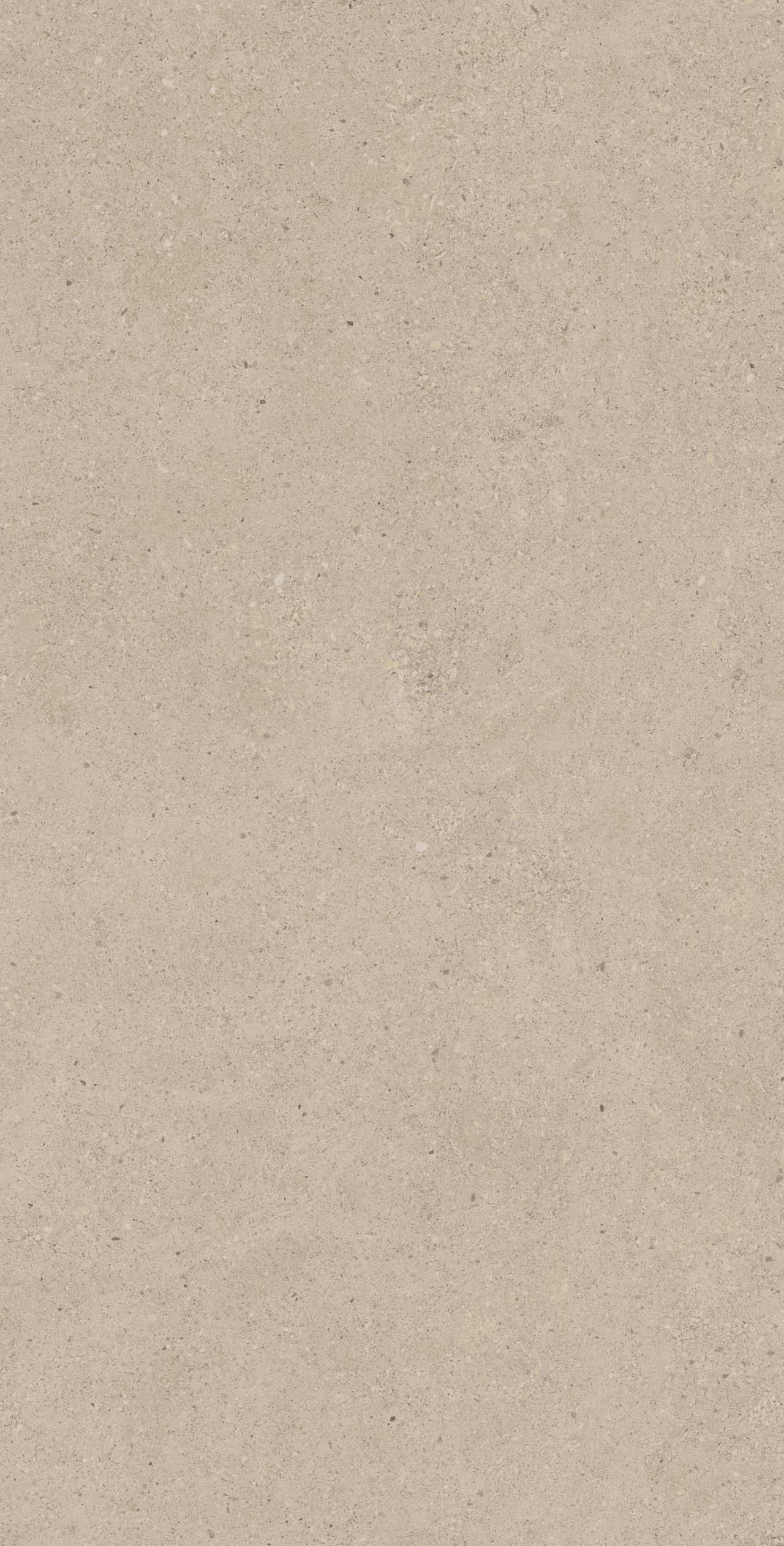 Плитка из керамогранита ce00 60x120x9 структур.рект. (керамический гранит)
