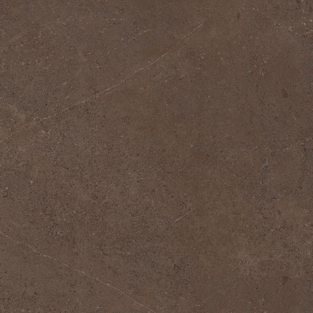 Плитка из керамогранита go03 60x60x9 непол.рект. (керамический гранит)