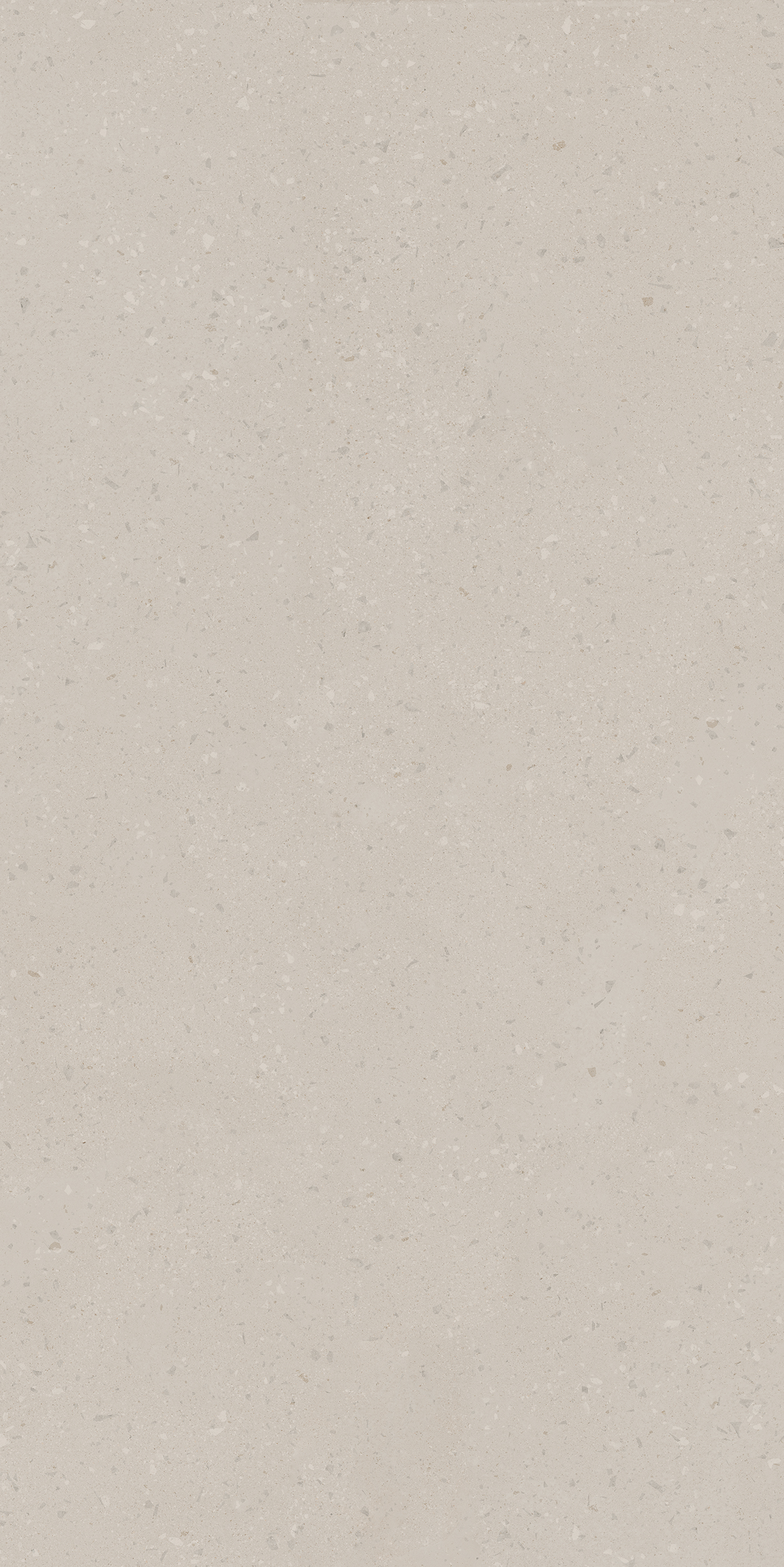 Плитка из керамогранита ro00 80x160x10 непол.рект. (керамический гранит)