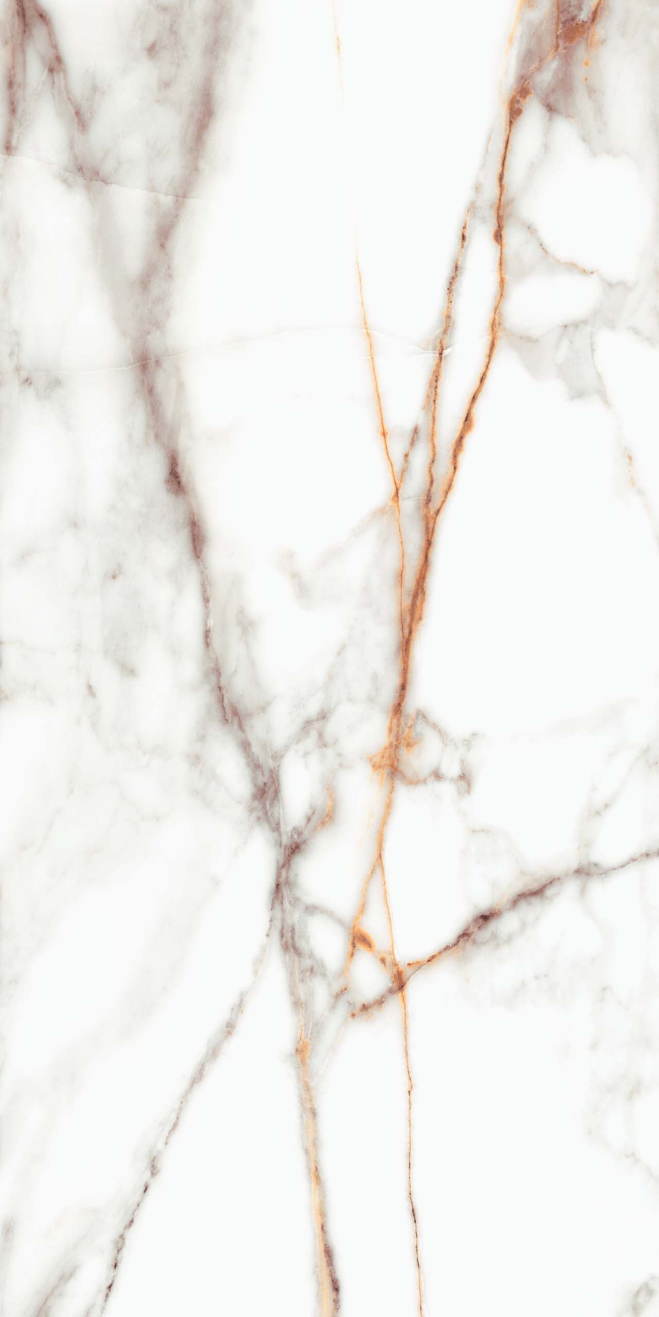 Плитка из керамогранита sm03 80x160x10 непол.рект. (керамический гранит)