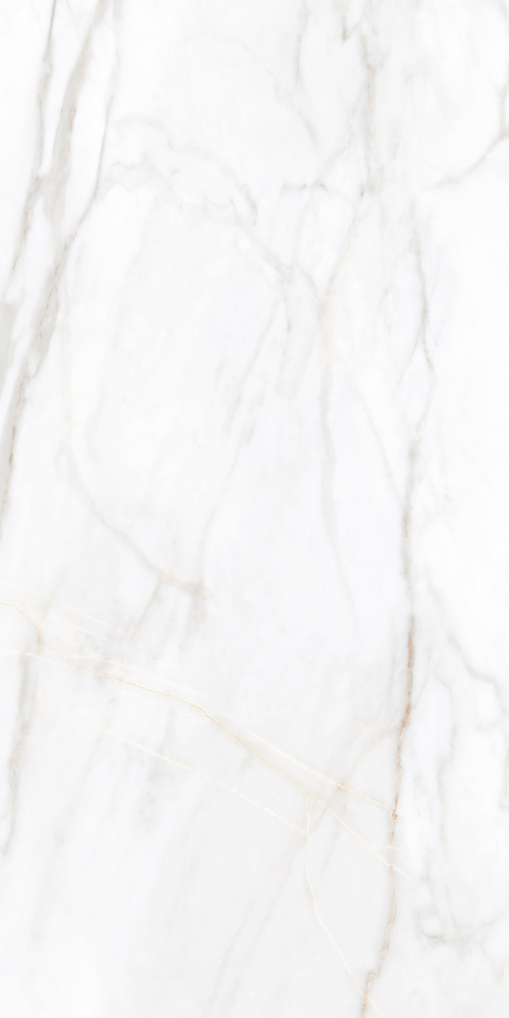 Плитка из керамогранита sm02 60x120x9 полир. (керамический гранит)