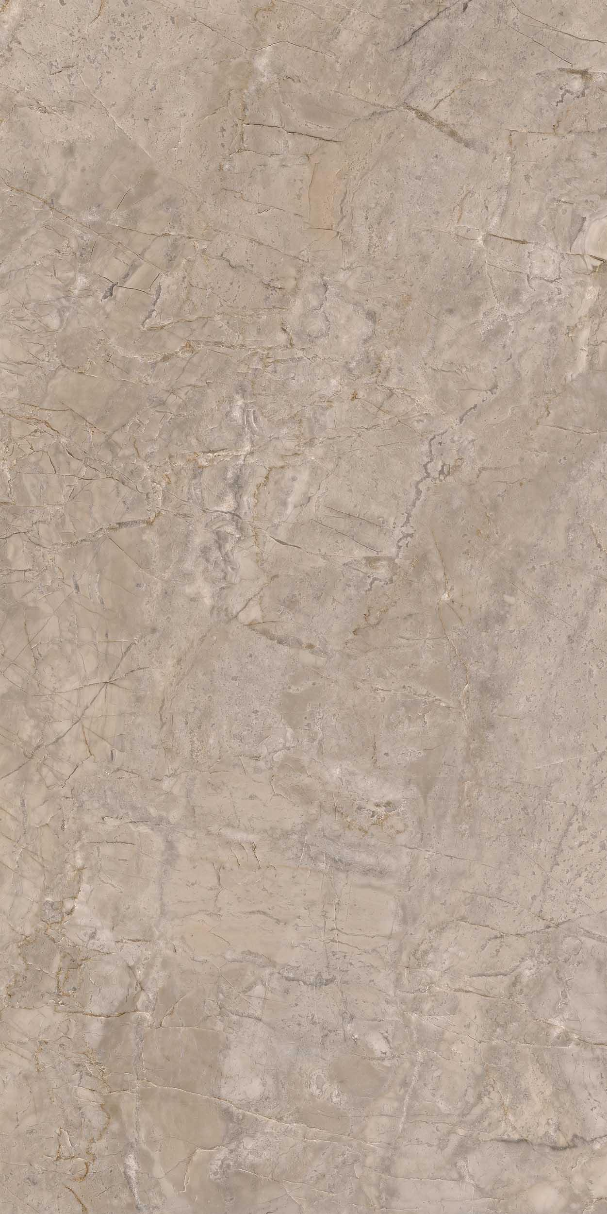 Плитка из керамогранита br02 80x160x10 непол.рект. (керамический гранит)