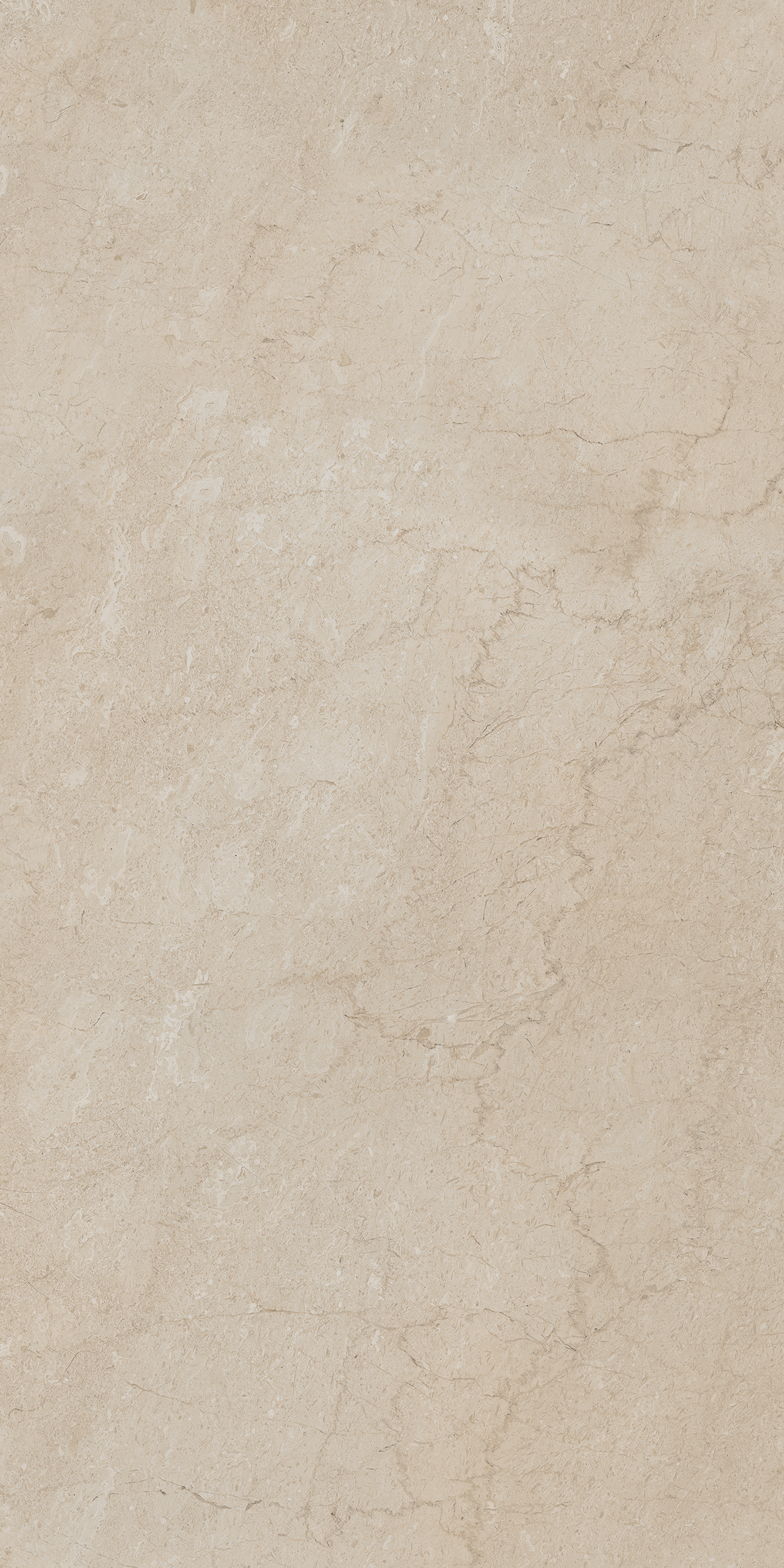 Плитка из керамогранита aem01 80x160x10 непол.рект. (керамический гранит)