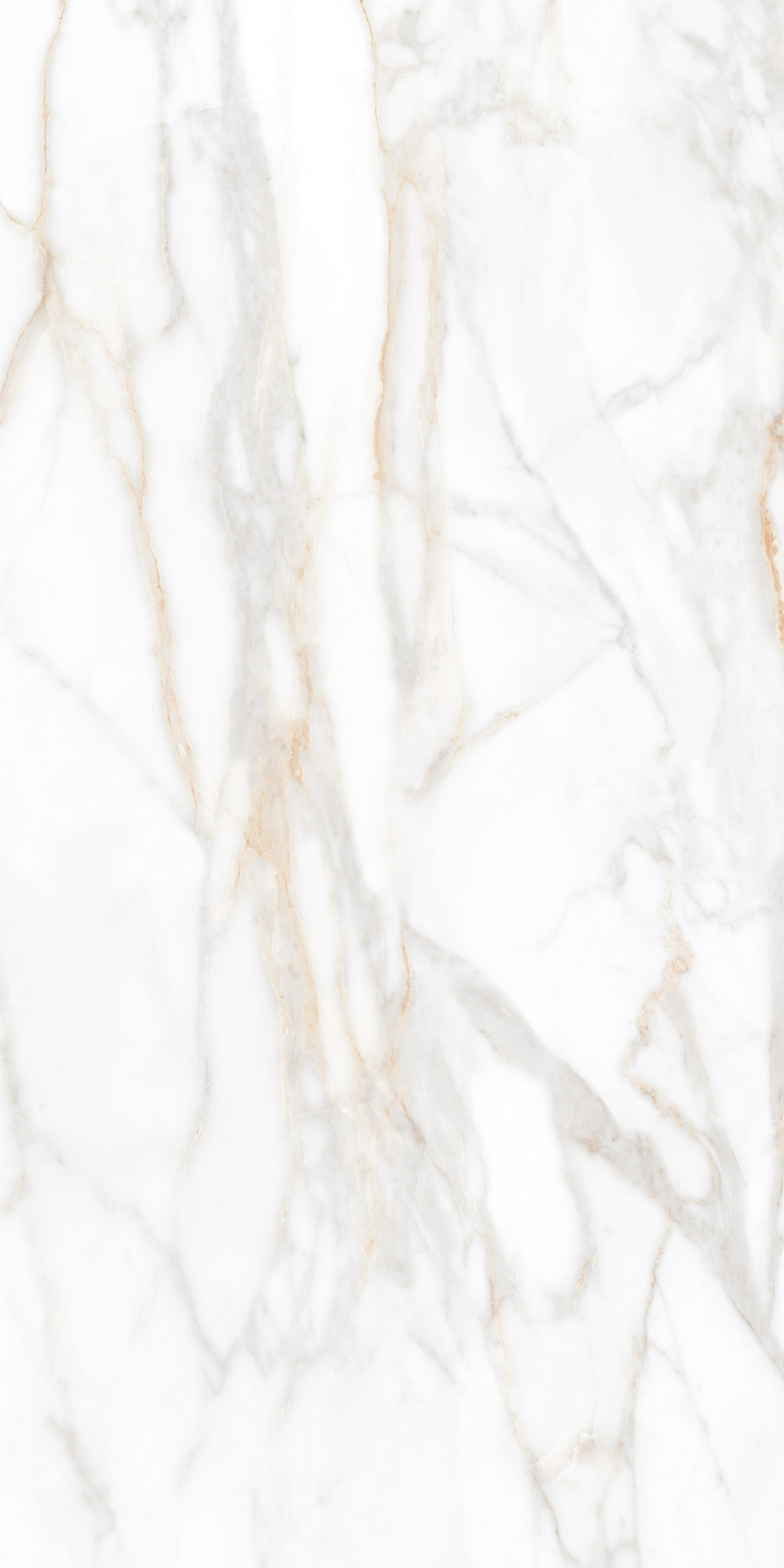 Плитка из керамогранита sm02 60x120x9 полир. (керамический гранит)