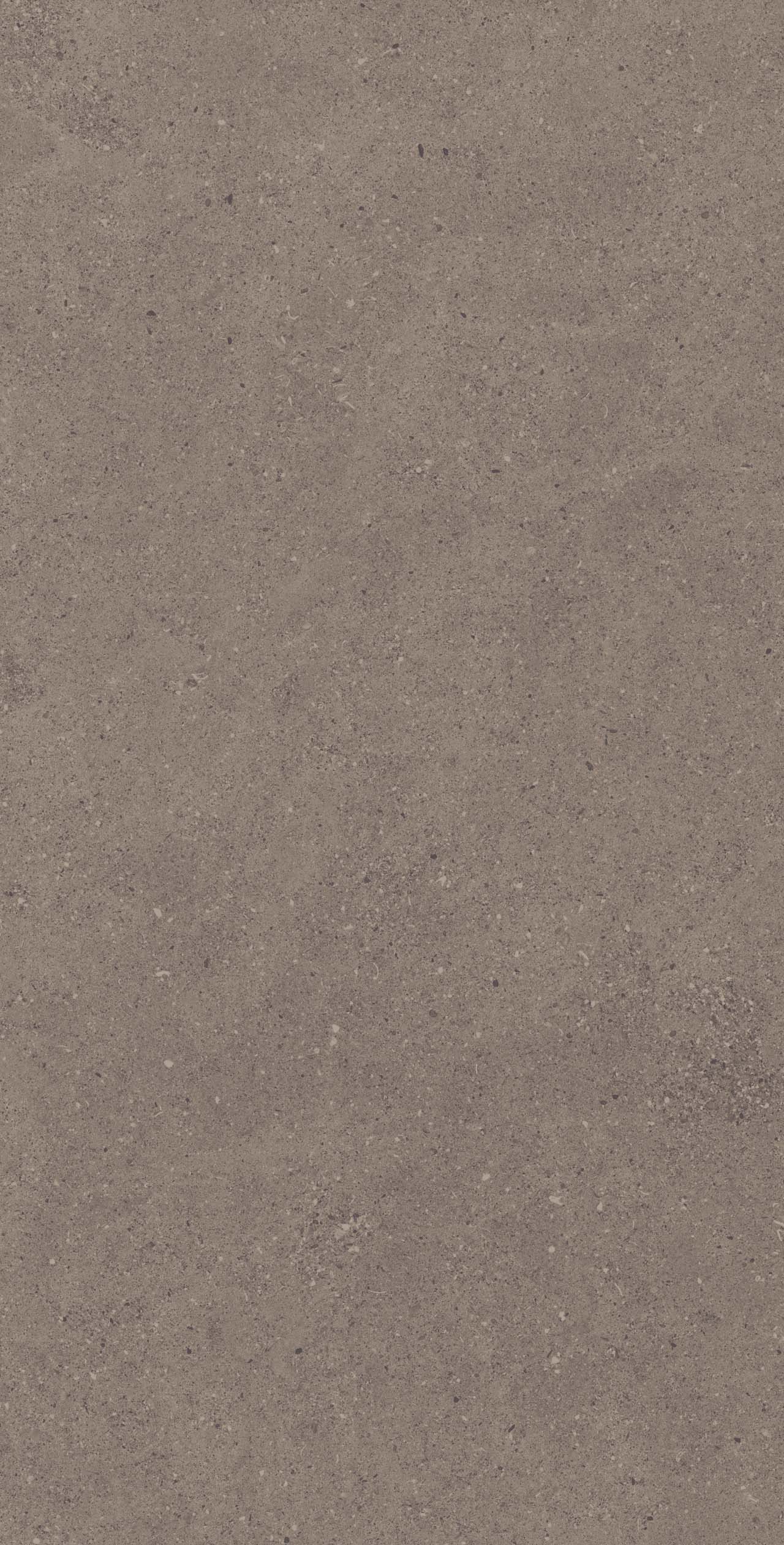 CE 04
