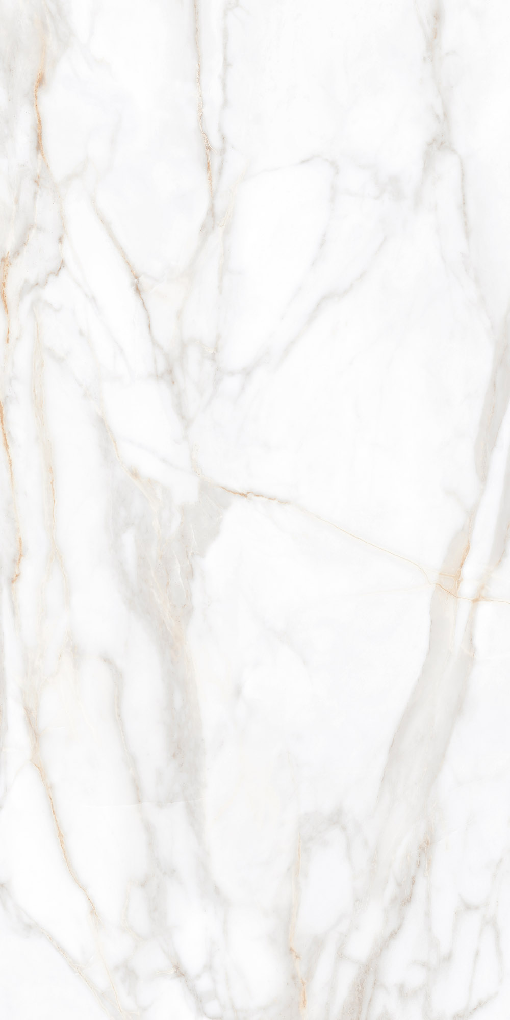 Плитка из керамогранита sm02 60x120x9 полир. (керамический гранит)