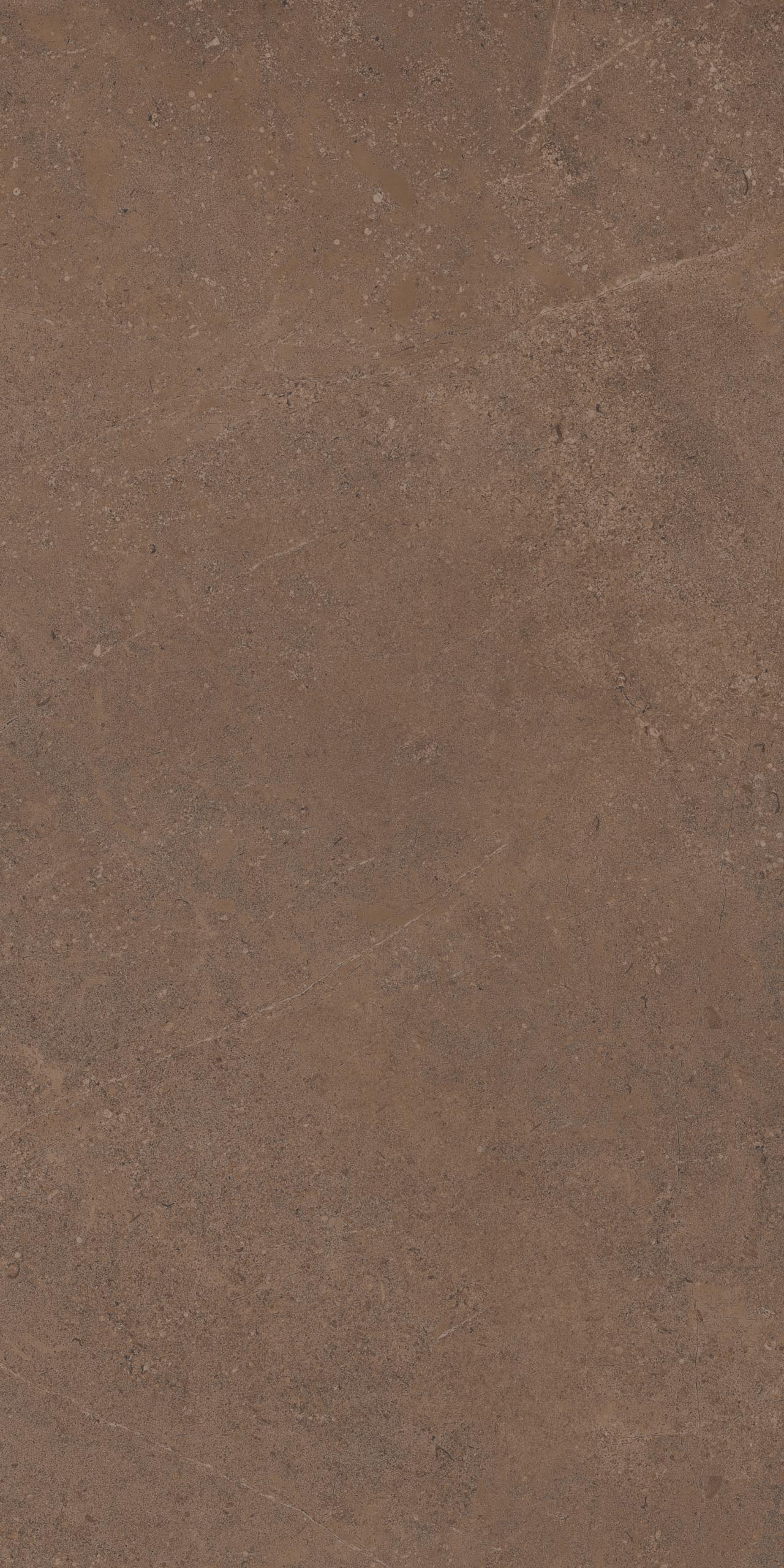 Плитка из керамогранита go02 60x120x9 непол.рект. (керамический гранит)