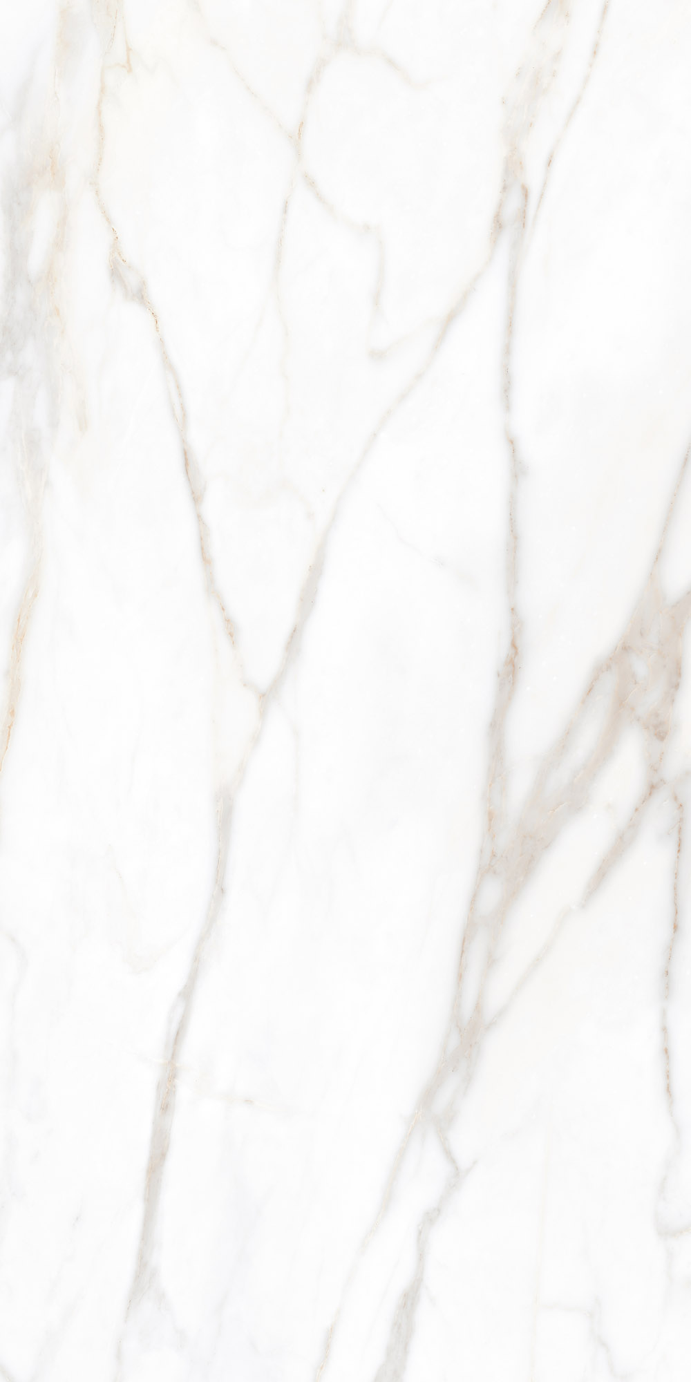 Плитка из керамогранита sm02 60x120x9 полир. (керамический гранит)