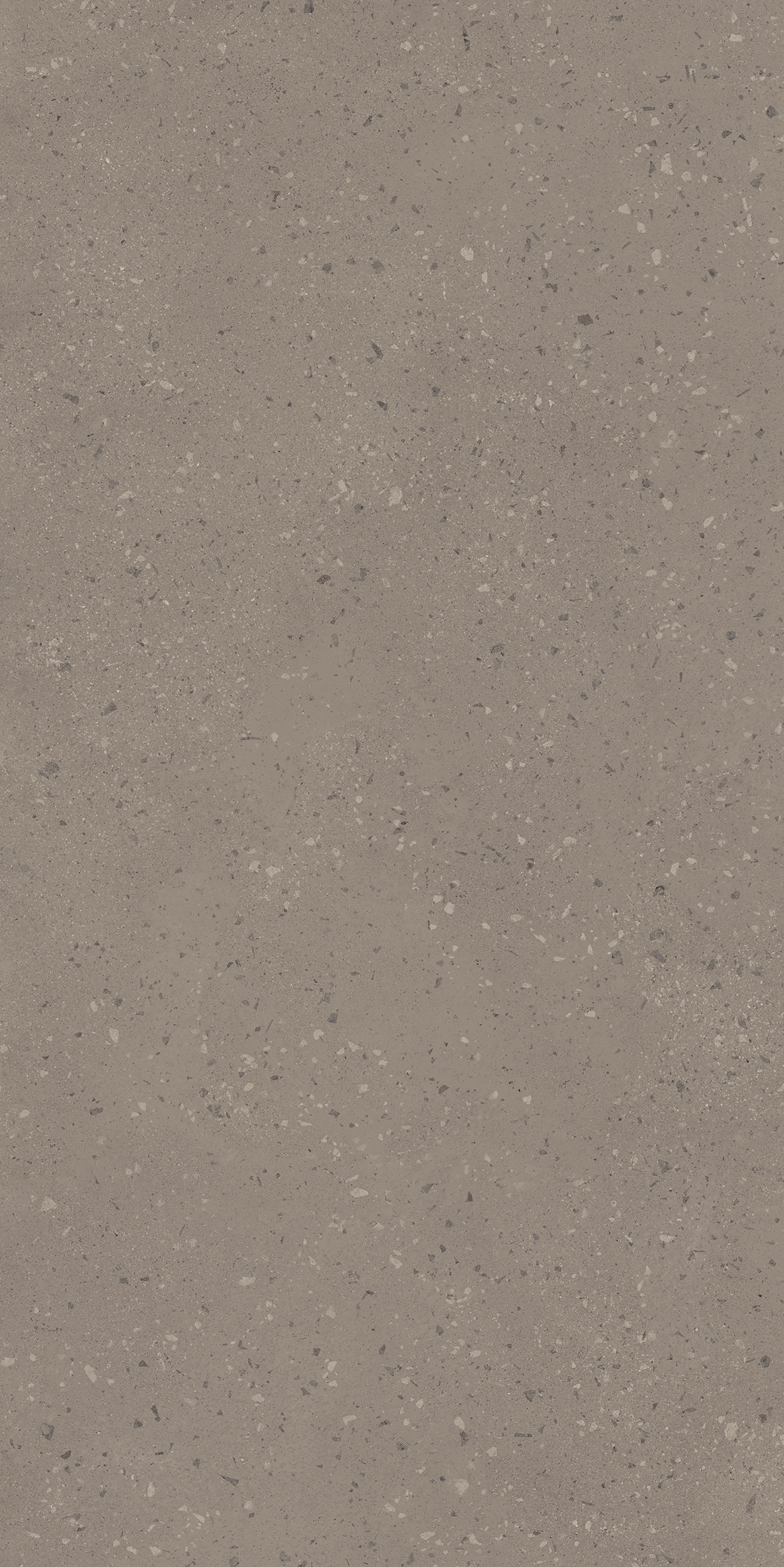 Плитка из керамогранита ro02 80x160x10 непол.рект. (керамический гранит)