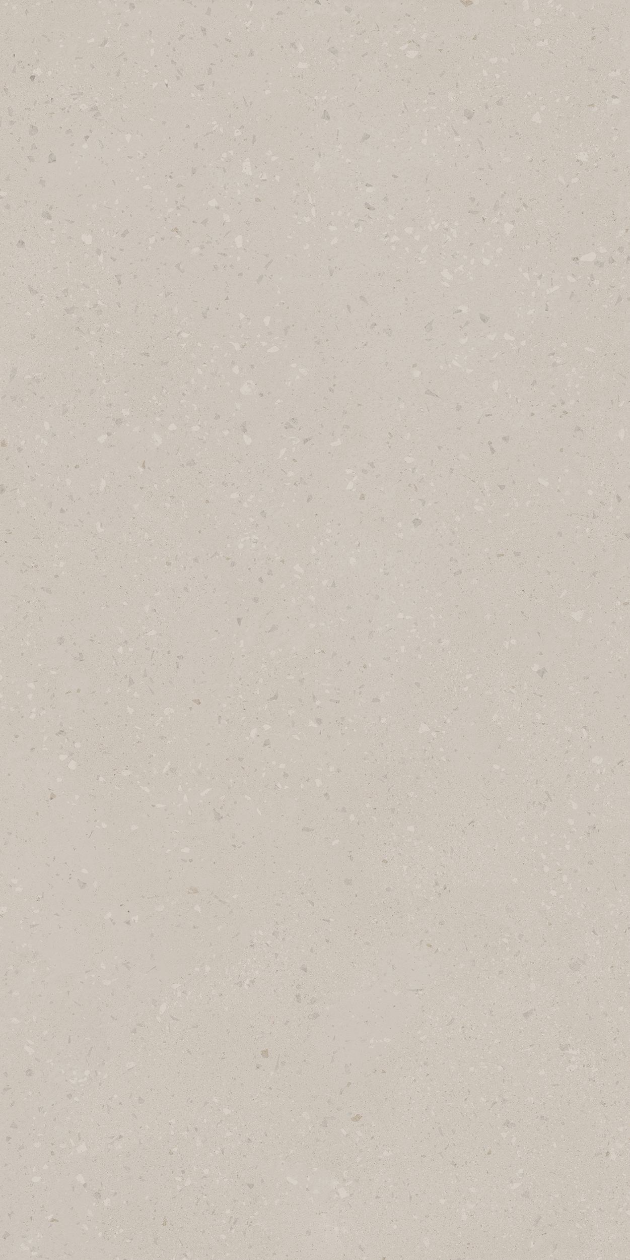 Плитка из керамогранита ro00 80x160x10 непол.рект. (керамический гранит)