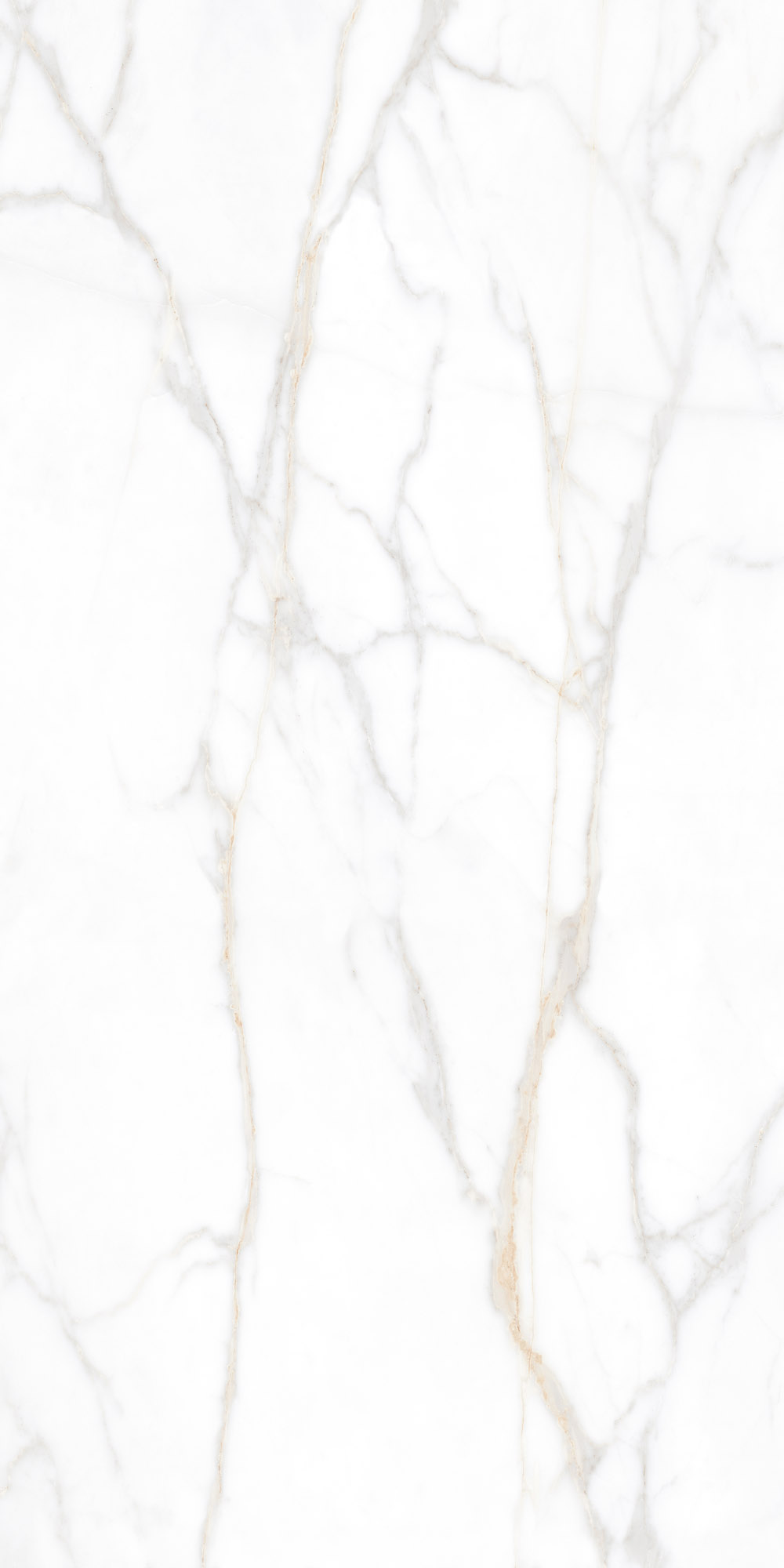 Плитка из керамогранита sm02 60x120x9 полир. (керамический гранит)