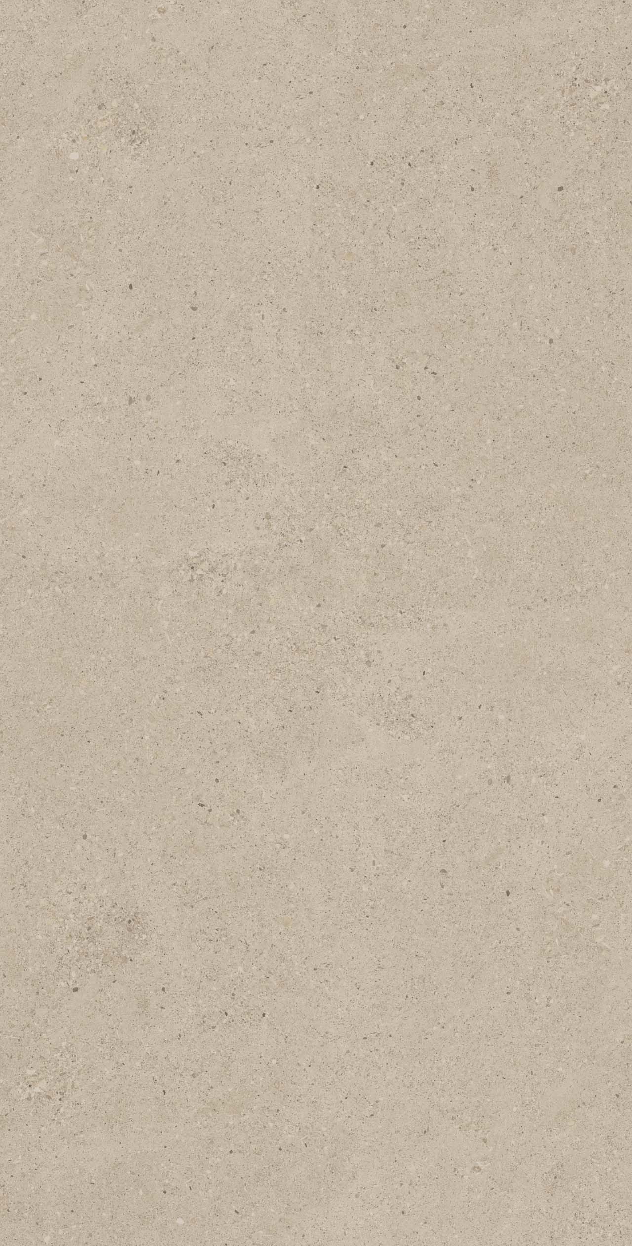 Плитка из керамогранита ce00 60x120x9 структур.рект. (керамический гранит)