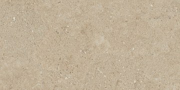 NP02 30,6x60,9x8 Непол. (Керамический гранит)