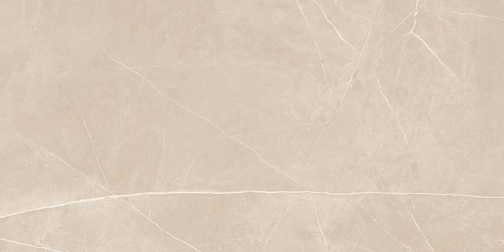 Плитка из керамогранита nl01 60x120x10 непол.рект. (керамический гранит)