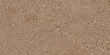 NP03 30,6x60,9x8 Непол. (Керамический гранит)