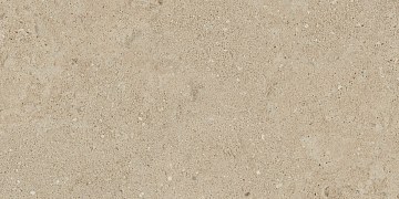 NP02 30,6x60,9x8 Непол. (Керамический гранит)