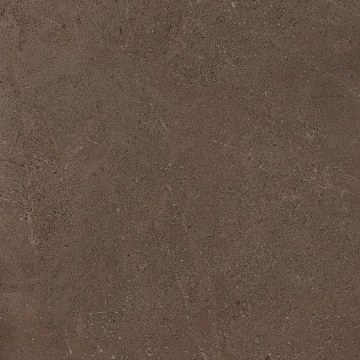 GO03 60x60 Непол.Рект. (Керамический гранит)