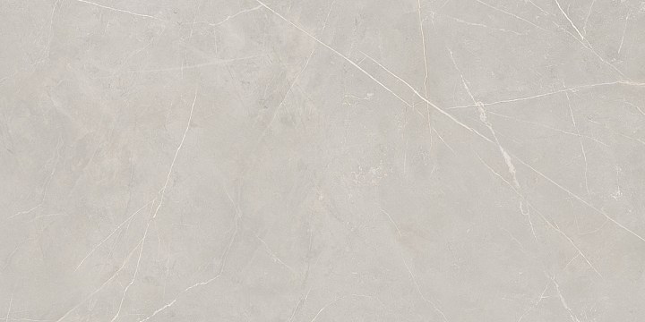 Плитка из керамогранита nl02 60x120x10 непол.рект. (керамический гранит)
