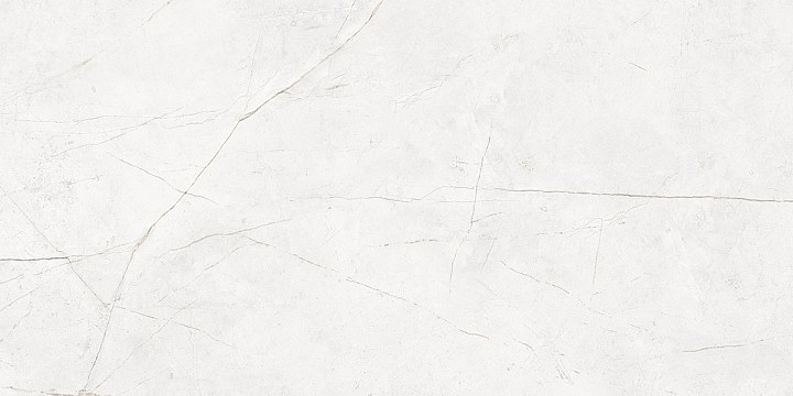 Плитка из керамогранита nl00 60x120x10 непол.рект. (керамический гранит)