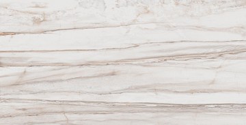 SV01 60x120x9 Непол.Рект. (Керамический гранит)