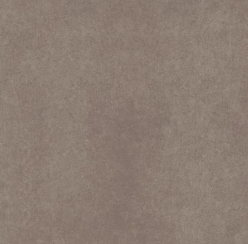 CA04 60x60x10 Непол.Рект. (Керамический гранит)