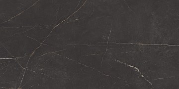 NL04 60x120x9 Непол.Рект. (Керамический гранит)
