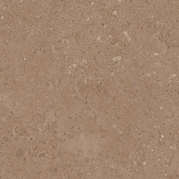 NP 03