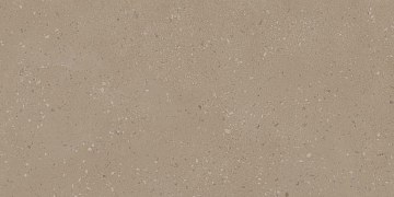 RO01 60x120x9 Непол.Рект. (Керамический гранит)