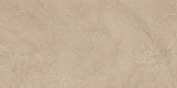 Плитка из керамогранита exs303 60x120x9 непол.рект. (керамический гранит)
