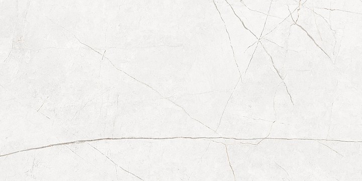 Плитка из керамогранита nl00 60x120x10 непол.рект. (керамический гранит)